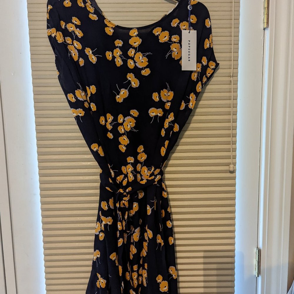 PopSugar Dress with tie belt